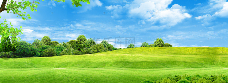 绿色清新草坪背景图片_小清新绿色公园草坪蓝天背景