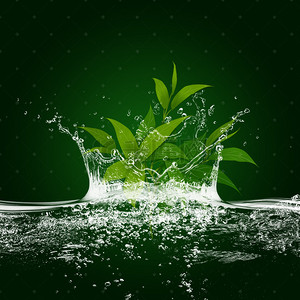 淘宝绿色简约美妆护肤品psd主图背景素材