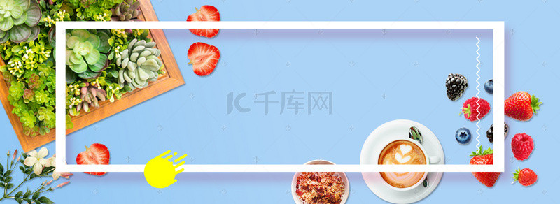 简约多肉背景图片_休闲植物蓝色背景简约风海报banner