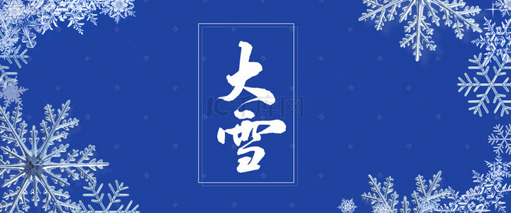 中国二十四节气大雪雪花唯美海报