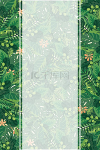 植物元素背景图片_清新简约植物元素海报