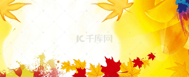 秋分二十四气节背景图片_小清新枫叶黄色二十四气节图