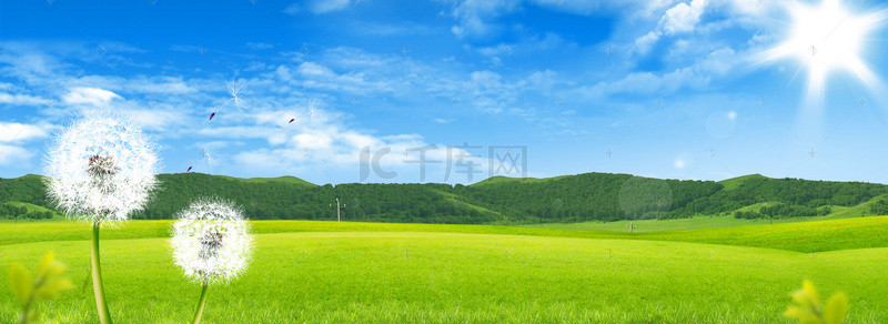 蓝天背景绿地背景图片_绿色生态草原清新蓝天背景