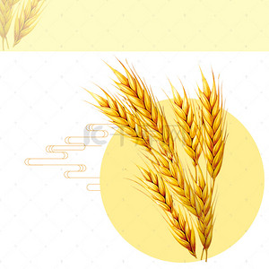 黄色小麦背景图片_芒种简约背景图片