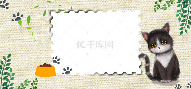 简约宠物猫背景图片_可爱白色猫粮卡通banner
