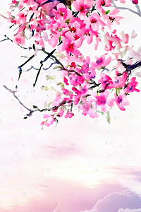 武汉大学樱花节背景图片_唯美春天醉美樱花节春季旅游