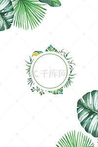 夏天花朵绿植背景图