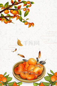 立秋柿子背景图片_9.23秋分秋季质感底纹柿子海报