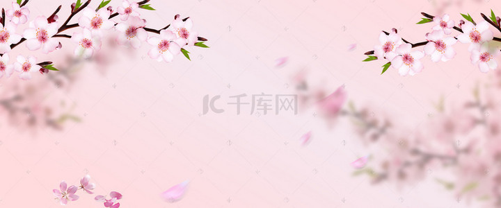 白色桃花背景图片_水彩手绘桃花背景海报