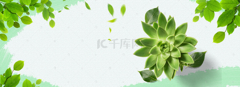 banner绿植背景图片_绿色清新绿植盆栽电商促销banner