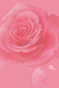 玫瑰背景素材背景图片_化妆品海报背景素材