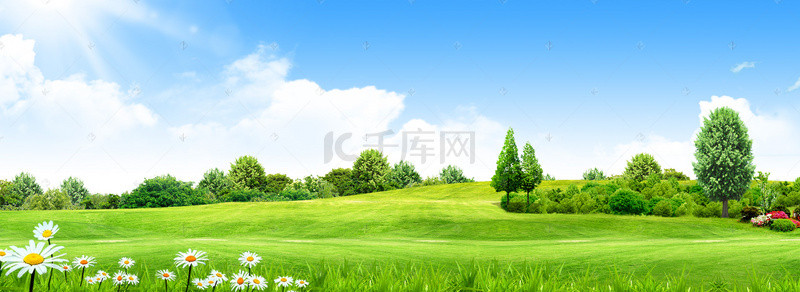 清新蓝天草地背景图片_清新阳光下的生态绿色草坪背景