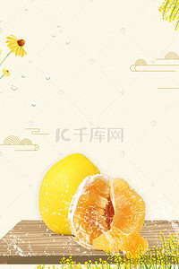 有机食品海报背景图片_创意绿色有机水果柚子PSD分层