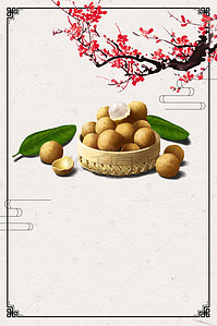 桂圆龙眼批发休闲食品海报背景素材