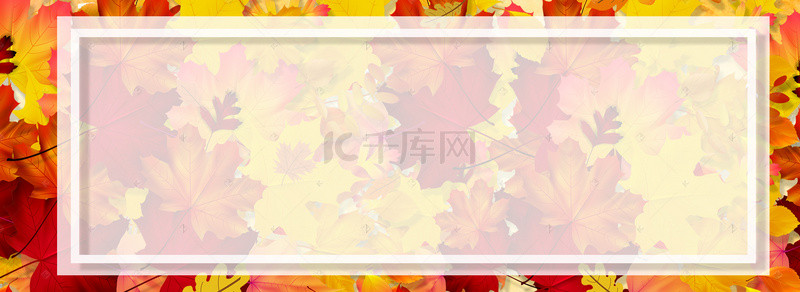 秋季上新枫叶背景Banner