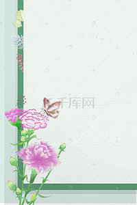 菊花蝴蝶花卉图片
