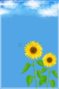 平面设计花朵背景图片_创意唯美花朵向日葵