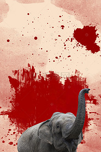 海报拒绝背景图片_拒绝虐杀动物背景素材