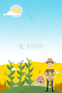 玉米背景海报背景图片_玉米农作物背景素材