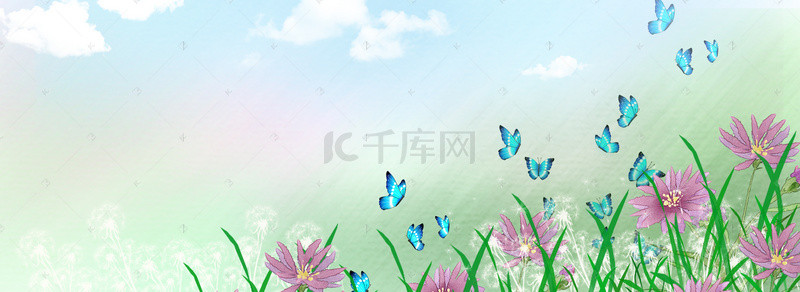 毕节花海背景图片_花海花卉背景图片