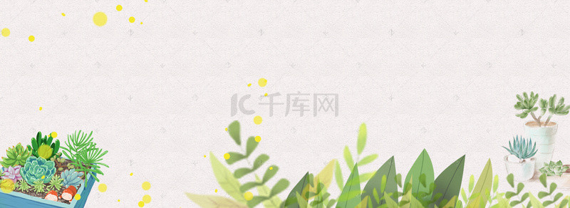 仙人掌清新背景图片_盆栽植物小清新文艺绿色banner