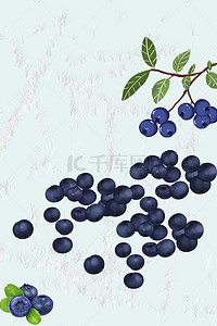 蓝莓海报背景图片_蓝莓宣传海报设计