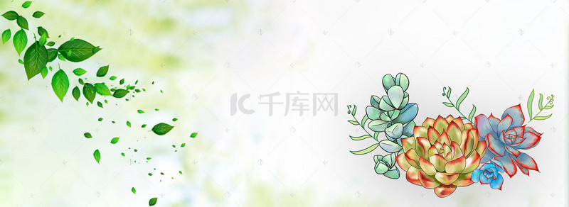 健康绿色小清新背景图片_绿色小清新多肉君淘宝促销banner