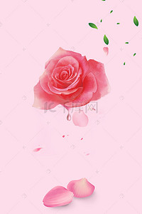 玫瑰背景素材背景图片_化妆品清新海报背景素材