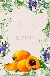 新鲜水果采摘背景图片_新鲜水果枇杷海报