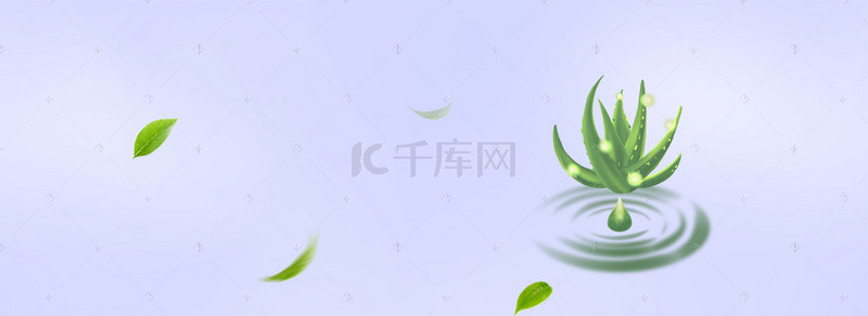 夏季绿叶护肤美妆护肤品海报banner