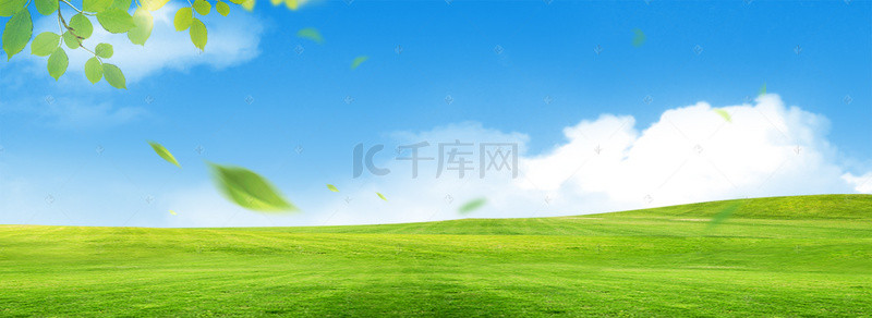 草地banner背景图片_绿色清新草地banner