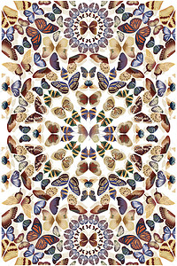 动物蝴蝶标本色彩印花地毯图案可直接使