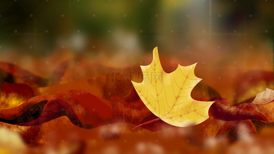 简单手绘背景背景图片_手绘秋季枫叶海报背景