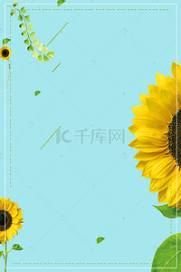 tiffany蒂芙尼蓝背景图片_Tiffany高级色创意向日葵夏日海报