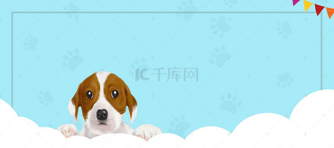 宠物用品海报背景图片_卡通简约可爱小狗宠物海报背景