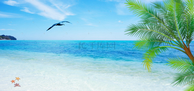 椰树海边背景背景图片_清凉一夏海边背景