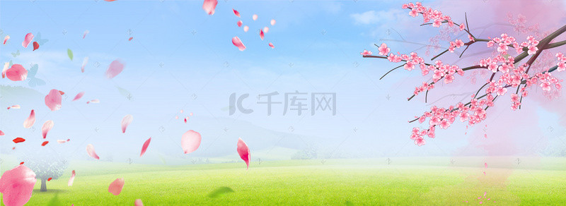 花瓣梦幻背景背景图片_桃花花瓣梦幻蓝色banner背景