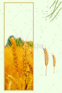 小麦中国风背景图片_五谷杂粮丰收稻米小麦海报背景