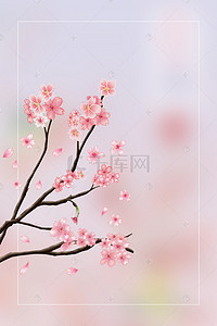 传统节气紫色手绘立春花卉背景