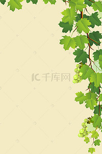 水果葡萄背景背景图片_简约绿叶白葡萄H5背景素材