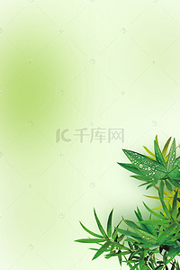 树叶背景h5背景图片_绿色唯美树叶背景H5背景