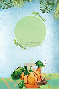 生态蔬菜背景图片_生态农场有机蔬菜海报
