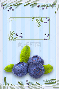 蓝莓采摘水果店广告海报背景素材