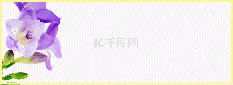 鲜花简约白色海报背景banner