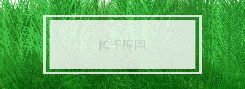 夏季绿色手绘banner背景