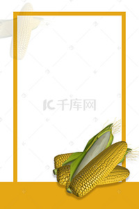 玉米背景海报背景图片_创意有机玉米促销海报