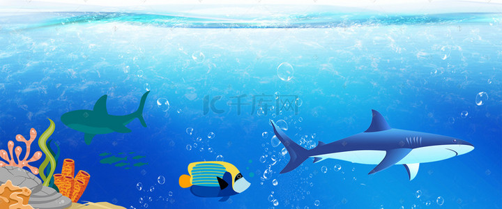 动物园海报背景图片_海洋渐变蓝色水族馆海报背景