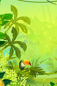 绿色鸟背景图片_热带雨林啄木鸟植物背景