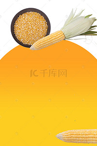 金色玉米海报背景
