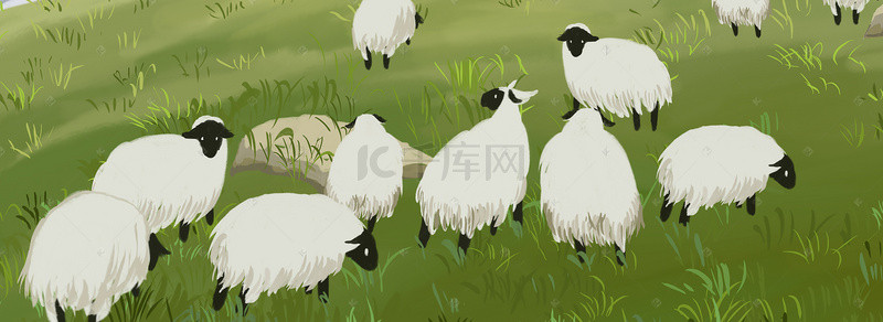 绵羊羊群绿色草地背景